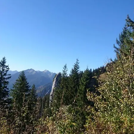 Geraeumiges Atelier Mit Flair Und Bergblick 뮈르나우암슈타펠지